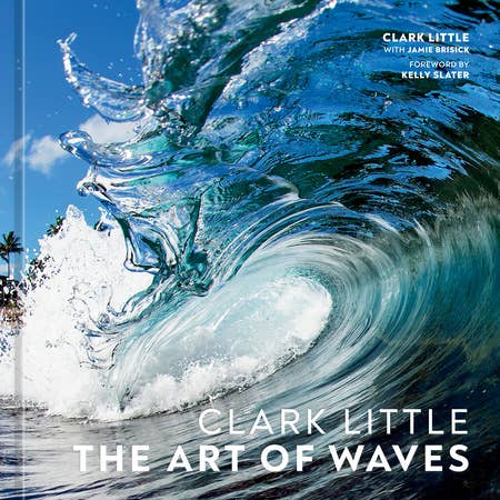 The Art of Waves buy Clark Little
