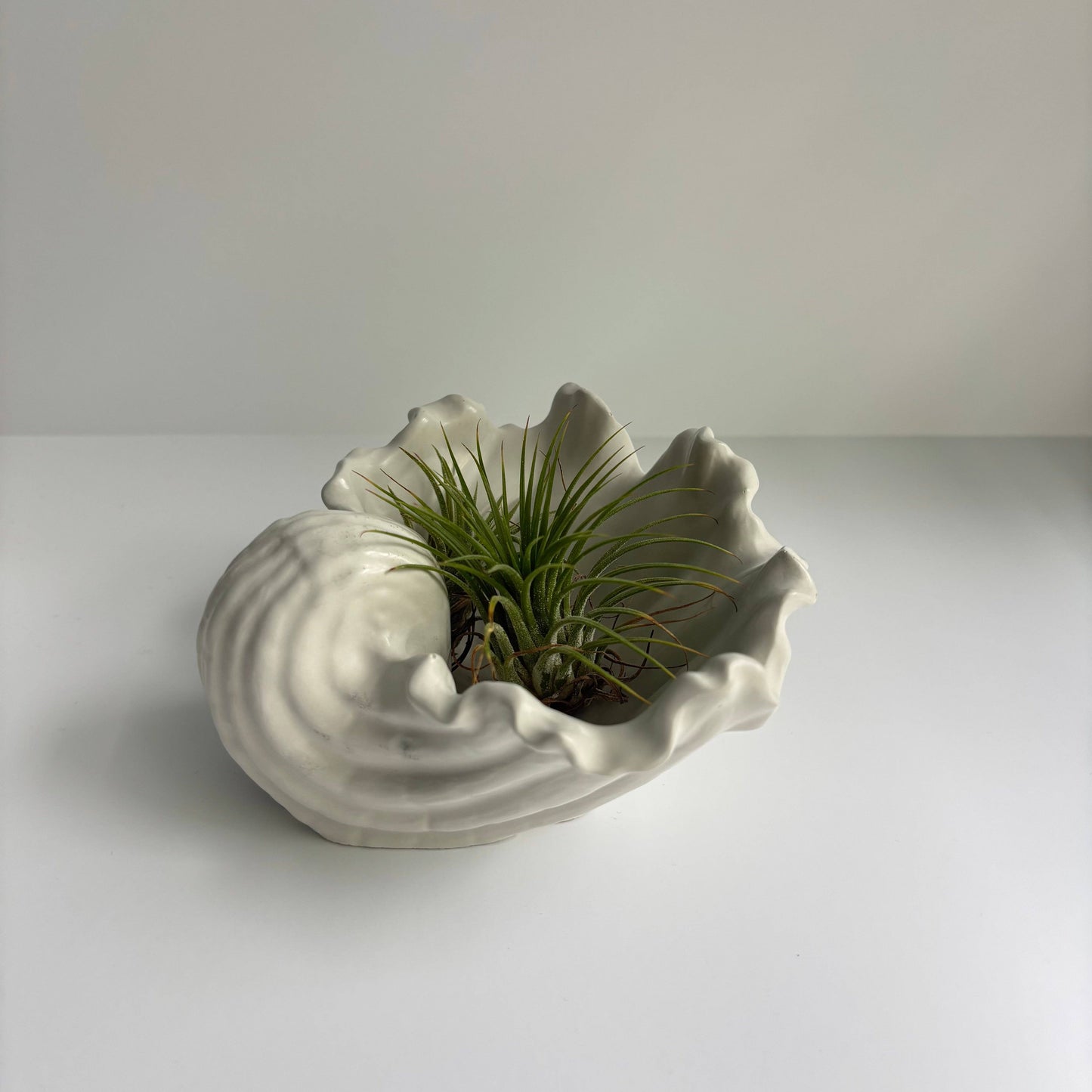 Selene Shell Concrete Bowl
