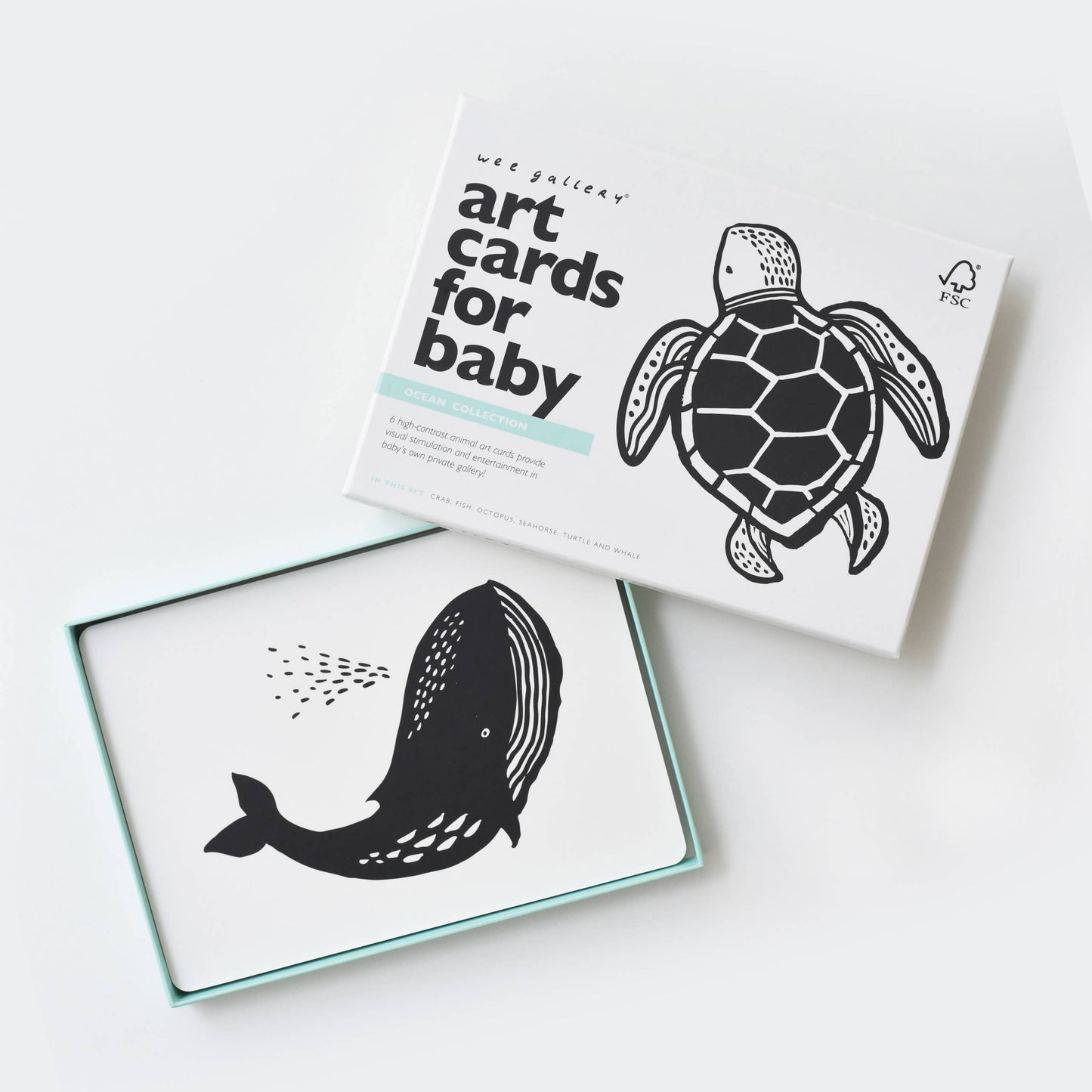 Ocean Animals Flash Cards