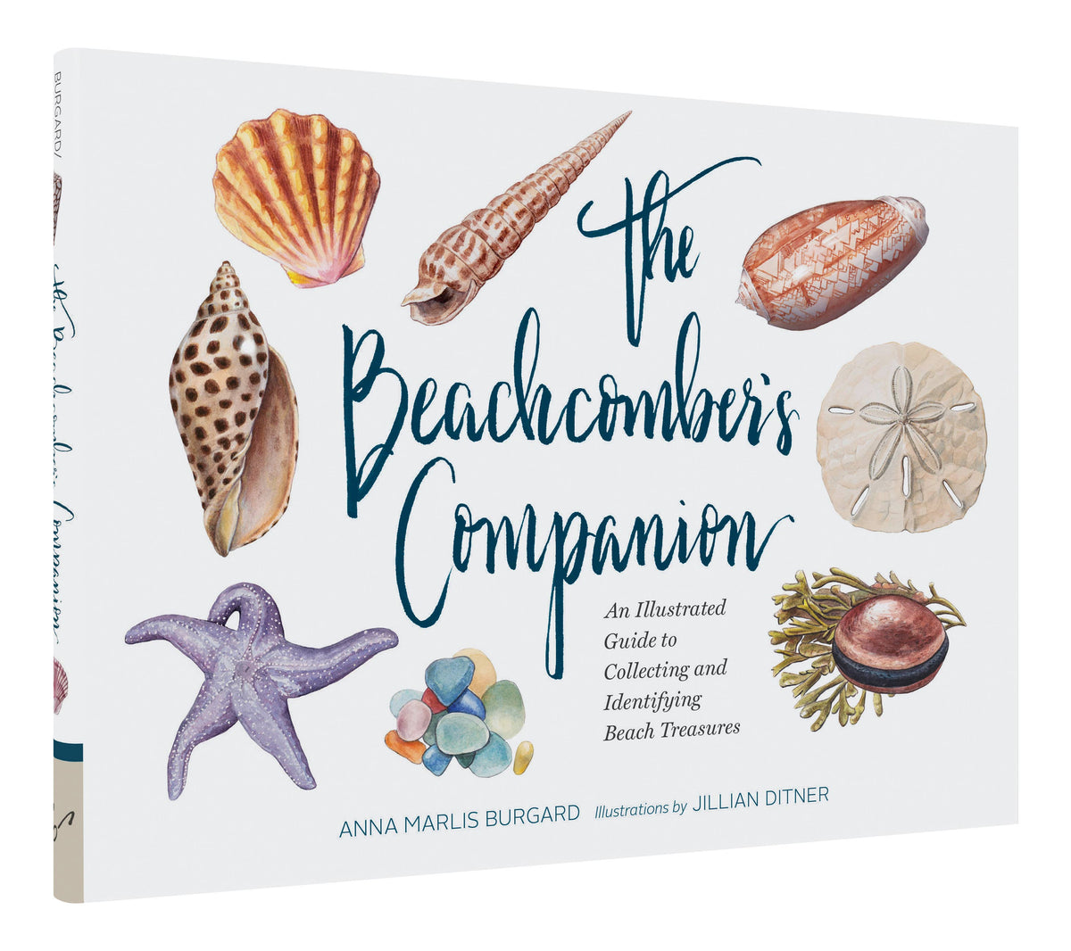 The Beachcomber's Companion