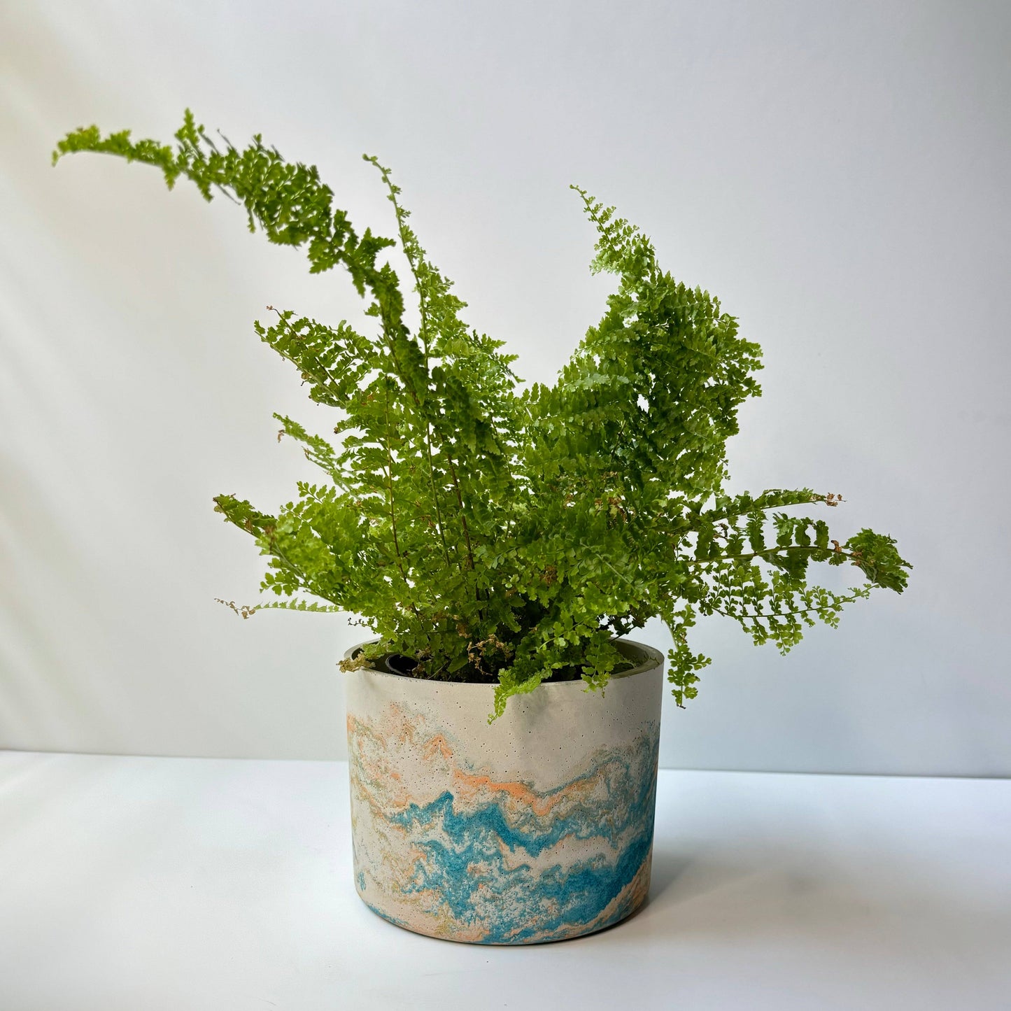 Hera Concrete Planter Pot 6.5”