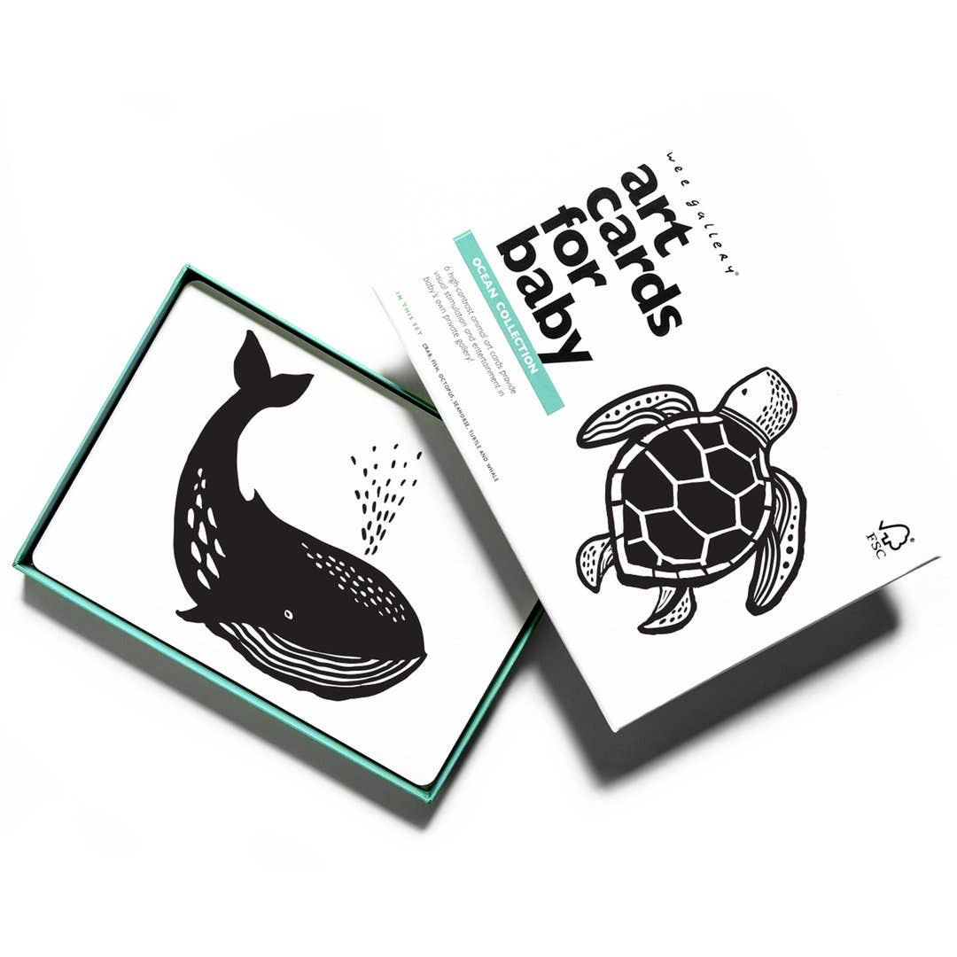 Ocean Animals Flash Cards