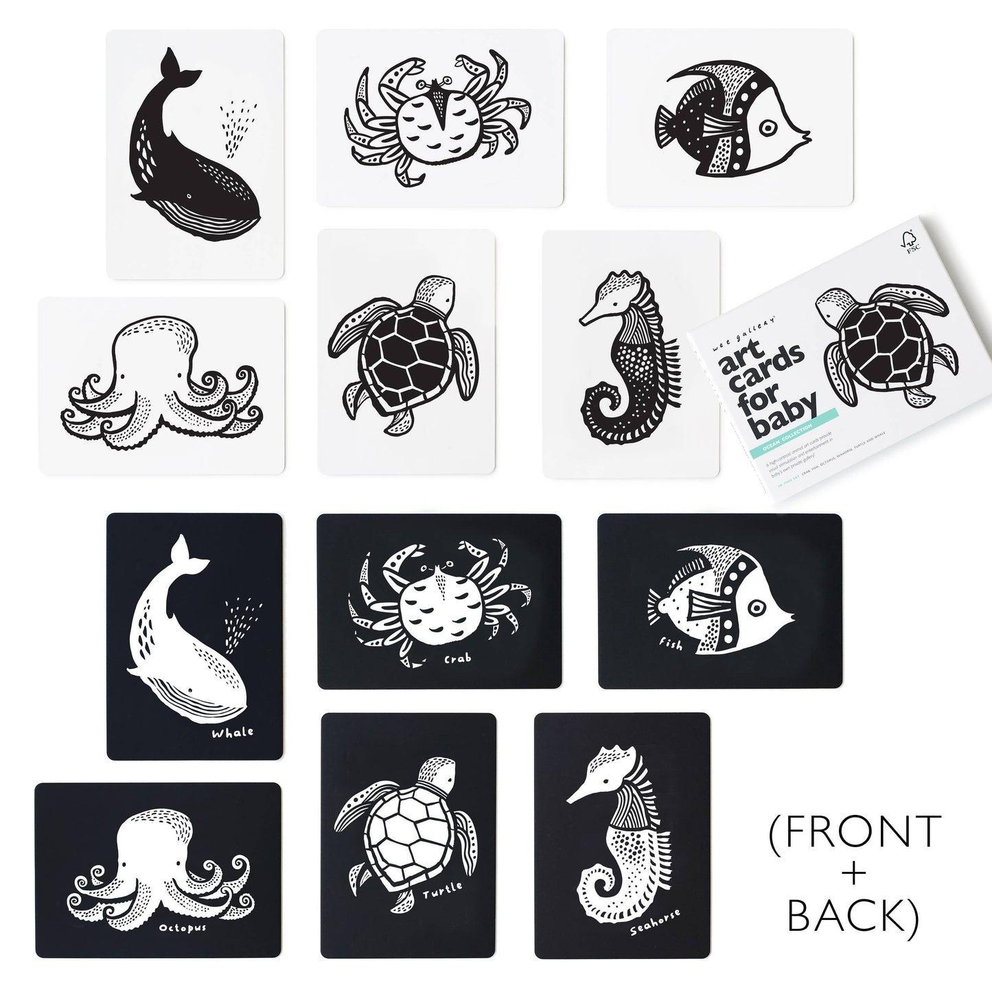 Ocean Animals Flash Cards