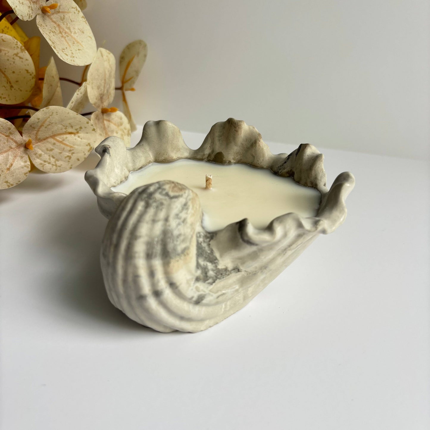 Selene Shell Concrete Bowl