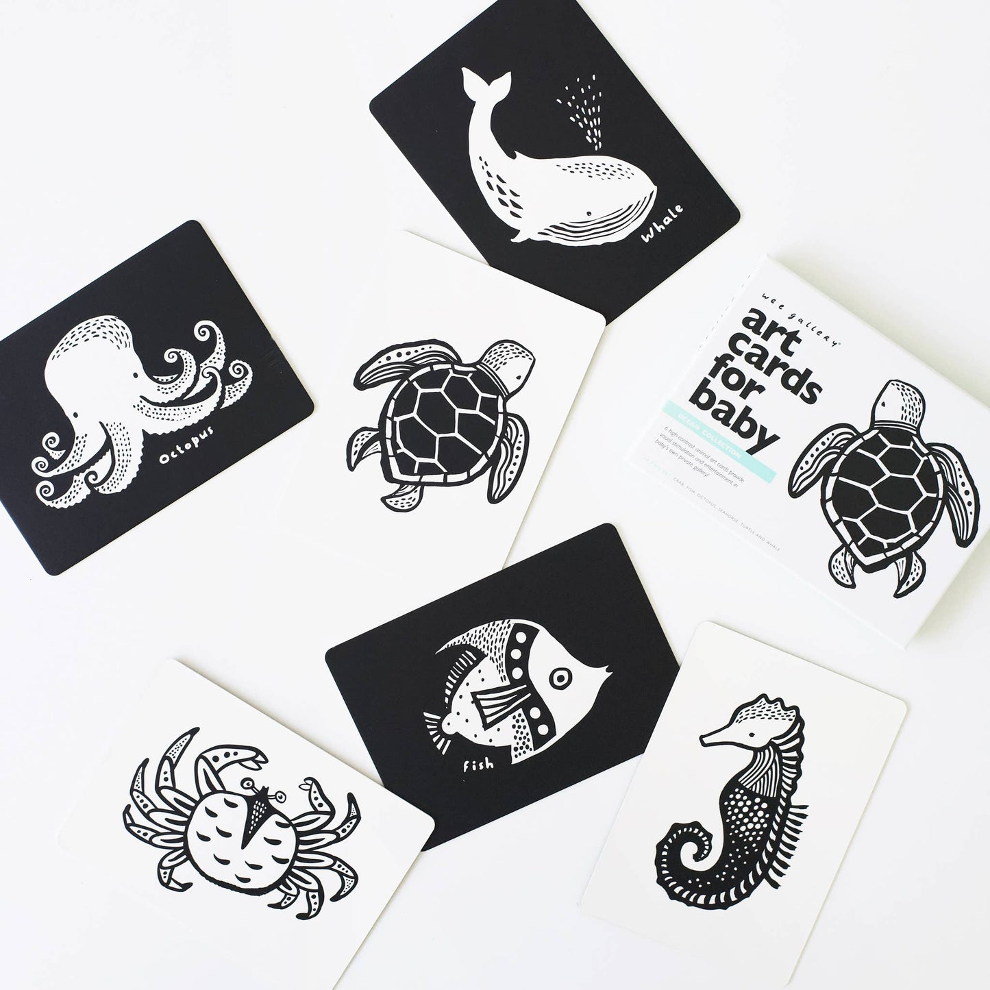 Ocean Animals Flash Cards