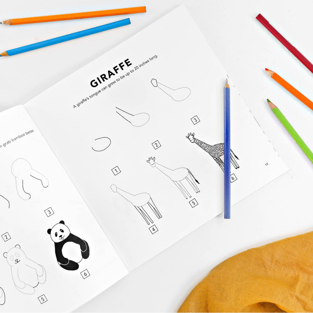 How to Draw - All The Animals
